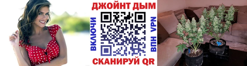 Как найти наркотики Чекалин Гашиш  Конопля  Мефедрон 