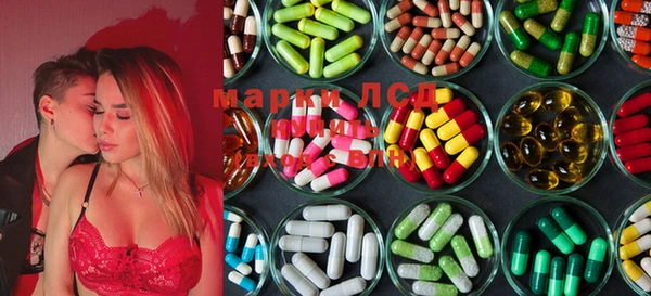 индика Магас