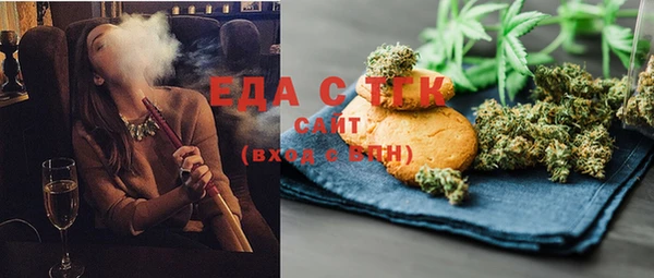 индика Магас