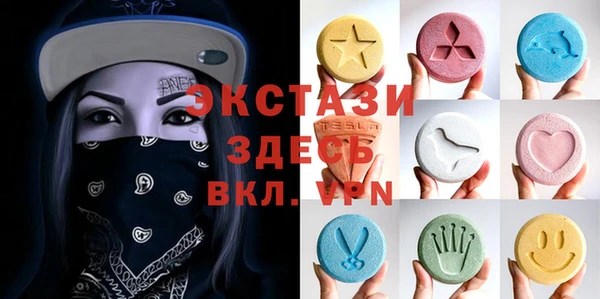 индика Магас
