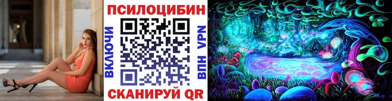 Галлюциногенные грибы мицелий  где купить наркоту  Чекалин 